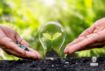 Todo lo que Debes Saber sobre la Norma ISO 14001:2015: Gestión Ambiental para el Futuro