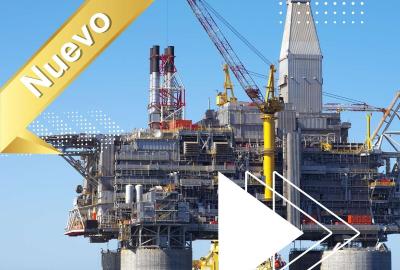 Auditor Interno API SPEC Q2